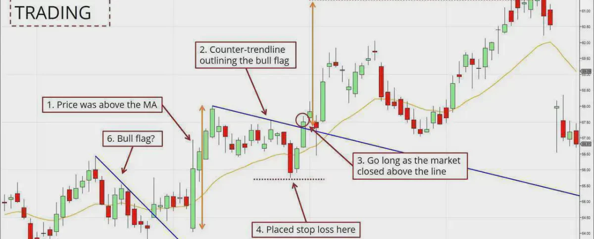 Bull Flag : Know About Its Structure , Characteristics And Working